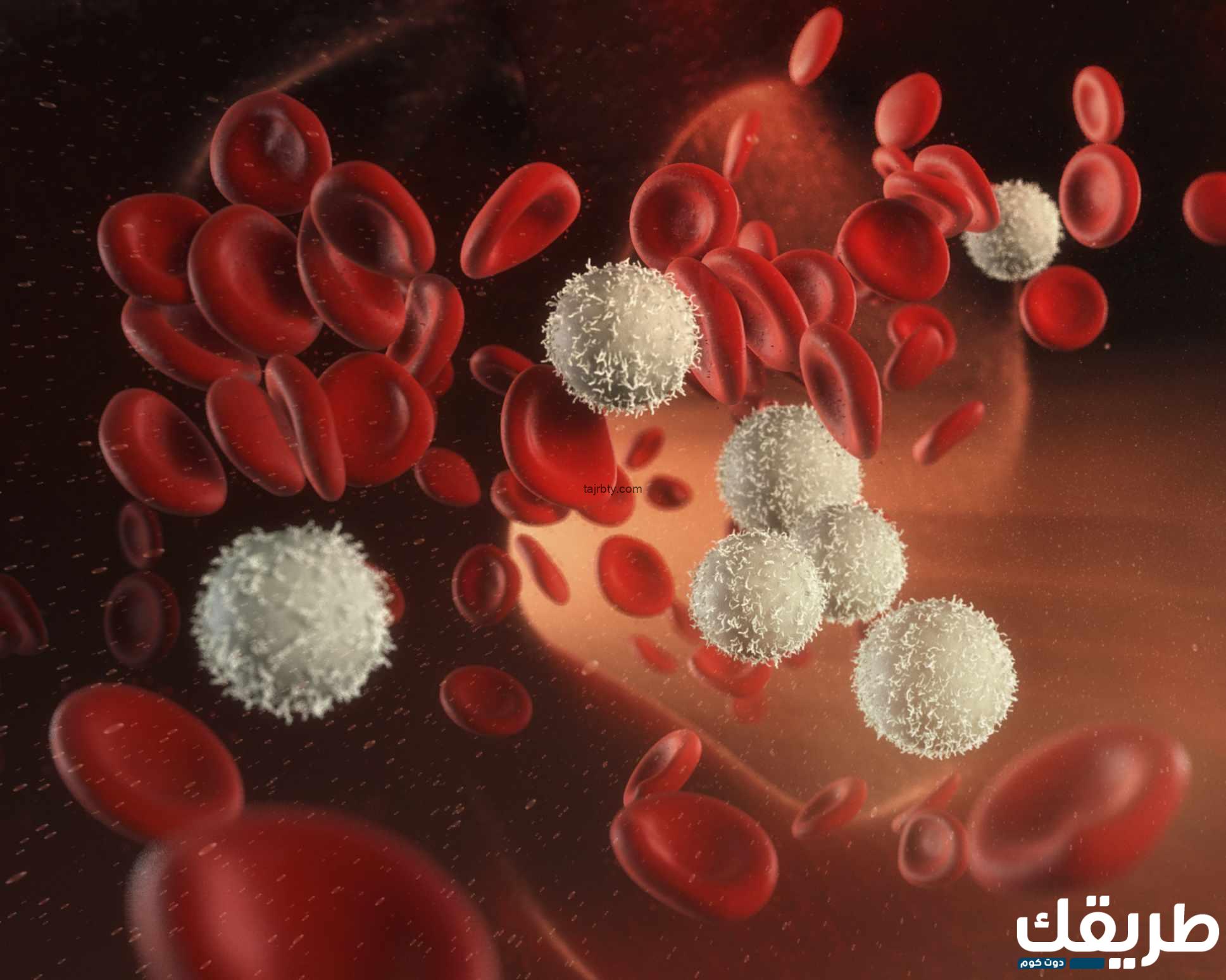 تجربتي مع نقص كرات الدم البيضاء وطرق العلاج الفعالة والسريعة 6 719913792707967